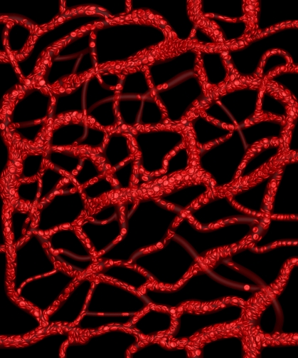red blood cells on black background